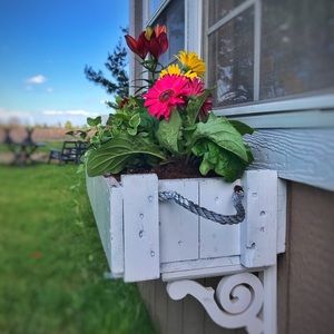 Meet your Posher, Shawna